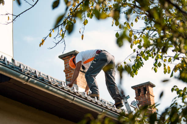 Best Roof Coating and Sealing  in Olmsted Falls, OH